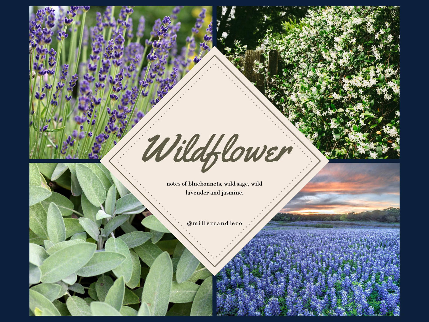 Women’s Goat Milk & Honey Lotion — Barn & Hive