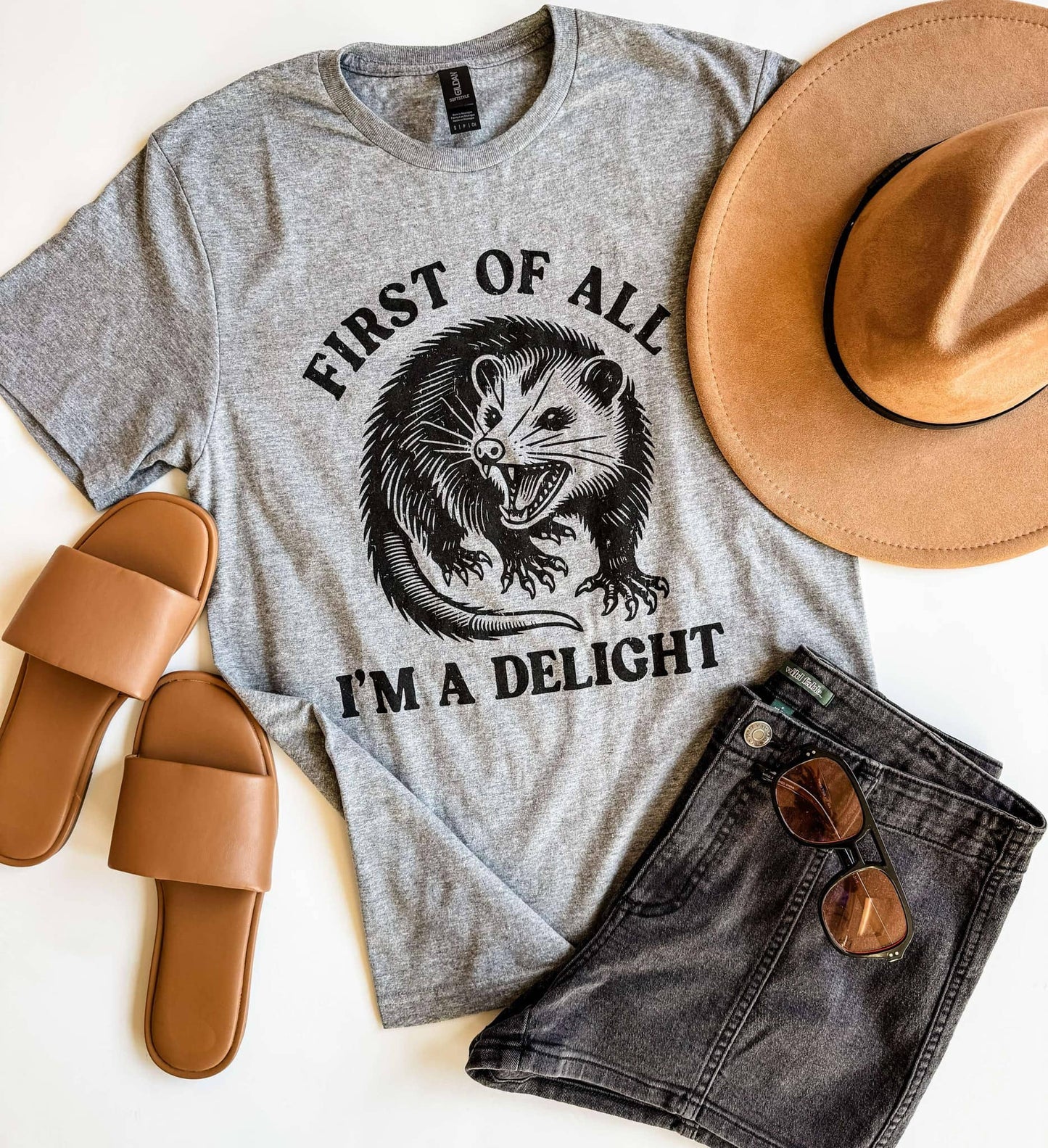 I'm a Delight Possum Funny Graphic Tee, Graphic Shirt