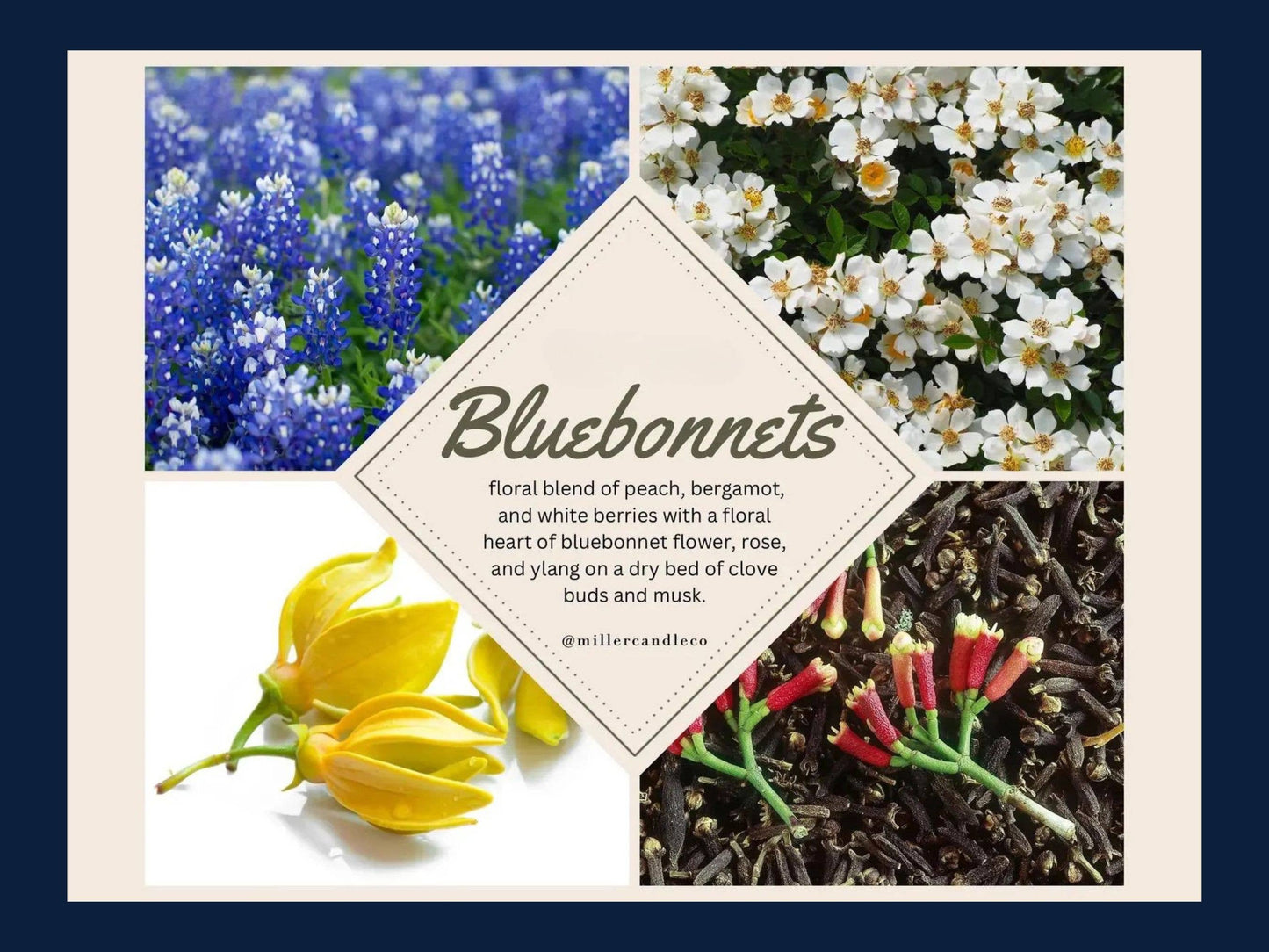 Women’s Goat Milk & Honey Lotion — Barn & Hive