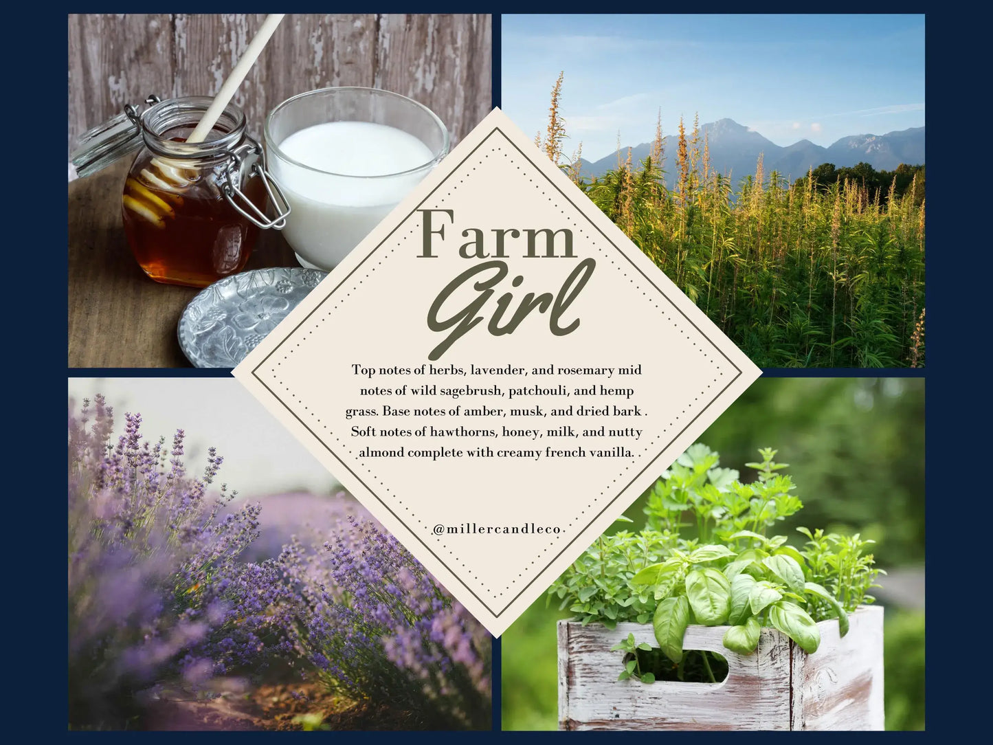 Women’s Goat Milk & Honey Lotion — Barn & Hive